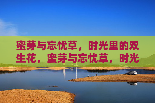 蜜芽与忘忧草，时光里的双生花，蜜芽与忘忧草，时光里的双生花