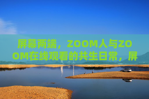 屏幕两端，ZOOM人与ZOOM在线观看的共生日常，屏幕两端的ZOOM共生日常
