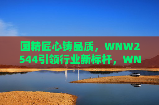 国精匠心铸品质，WNW2544引领行业新标杆，WNW2544，匠心铸品质 引领行业新标杆