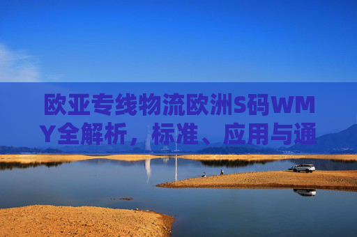 欧亚专线物流欧洲S码WMY全解析，标准、应用与通关指南，欧亚专线物流欧洲S码WMY全解析，标准、应用与通关指南
