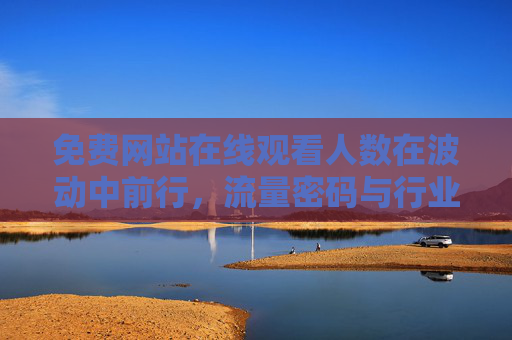 免费网站在线观看人数在波动中前行，流量密码与行业隐忧，免费网站观看人数波动前行，流量密码背后的行业隐忧