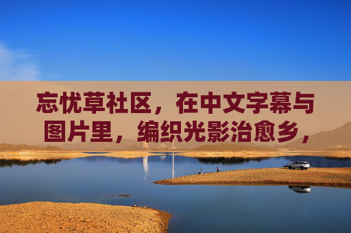 忘忧草社区，在中文字幕与图片里，编织光影治愈乡，忘忧草社区，光影编织治愈乡