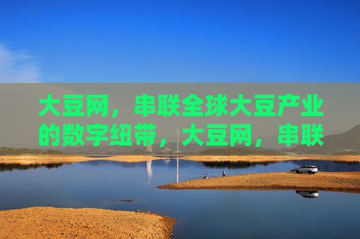 大豆网，串联全球大豆产业的数字纽带，大豆网，串联全球大豆产业的数字纽带