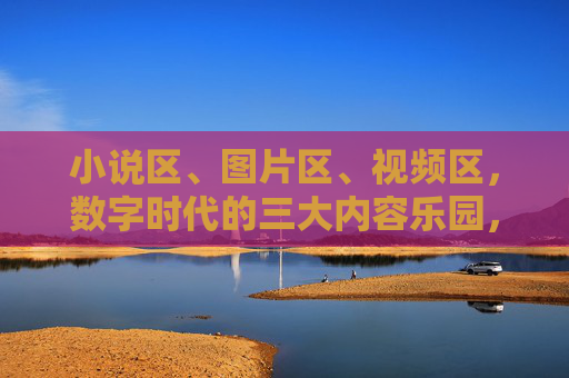 小说区、图片区、视频区，数字时代的三大内容乐园，数字时代的三大内容乐园，小说、图片、视频