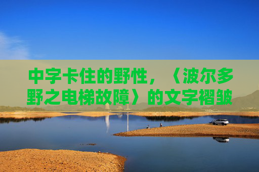中字卡住的野性，〈波尔多野之电梯故障〉的文字褶皱，中字卡住的野性，波尔多野之电梯故障的文字褶皱