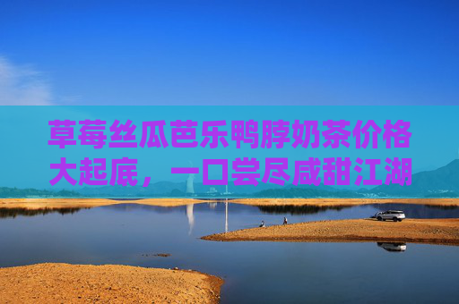 草莓丝瓜芭乐鸭脖奶茶价格大起底，一口尝尽咸甜江湖，这杯奶茶值不值？草莓丝瓜芭乐鸭脖奶茶价格大起底，咸甜江湖值不值？