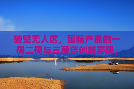 破壁无人区，国精产品的一码二码与三蘑菇创新密码，破壁无人区，国精产品的一码二码三蘑菇创新密码