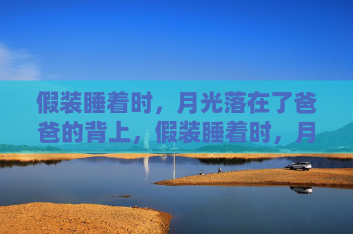 假装睡着时，月光落在了爸爸的背上，假装睡着时，月光栖在爸爸背上