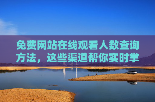 免费网站在线观看人数查询方法，这些渠道帮你实时掌握，免费渠道实时查询网站在线观看人数