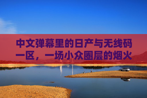 中文弹幕里的日产与无线码一区，一场小众圈层的烟火人间，弹幕里的日产与无线码一区，小众圈层的烟火人间