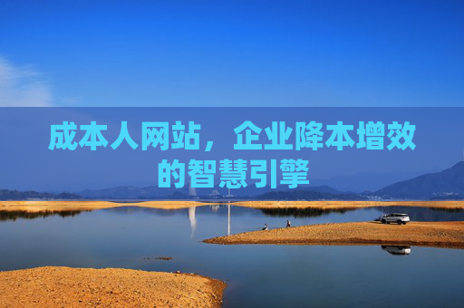 成本人网站，企业降本增效的智慧引擎