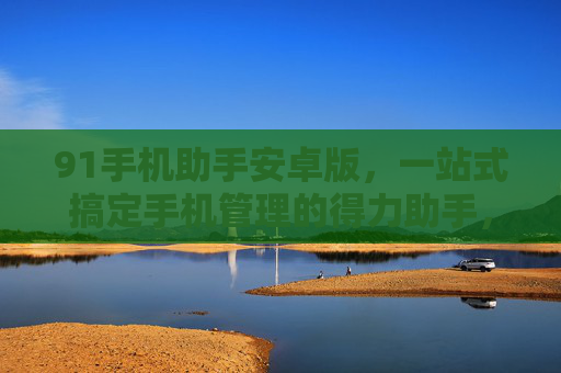 91手机助手安卓版，一站式搞定手机管理的得力助手，91手机助手安卓版，一站式手机管理得力助手