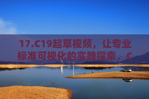 17.C19起草视频，让专业标准可视化的实践探索，C19起草视频，专业标准可视化的实践探索