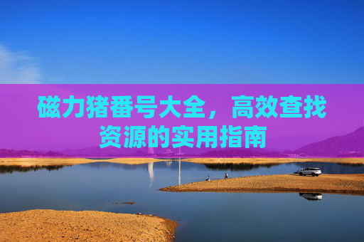 磁力猪番号大全，高效查找资源的实用指南