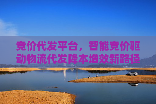 竞价代发平台，智能竞价驱动物流代发降本增效新路径，智能竞价驱动物流代发降本增效新路径