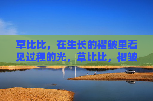 草比比，在生长的褶皱里看见过程的光，草比比，褶皱里的过程光