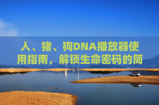人、猪、狗DNA播放器使用指南，解锁生命密码的简易教程，人猪狗DNA播放器使用指南，解锁生命密码简易教程