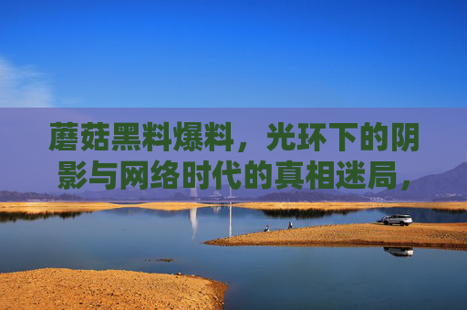蘑菇黑料爆料,光环下的阴影与网络时代的真相迷局,蘑菇黑料,光环下的阴影与网络真相迷局 蘑菇黑料爆料,光环下的阴影与网络时代的真相迷局,蘑菇黑料,光环下的阴影与网络真相迷局