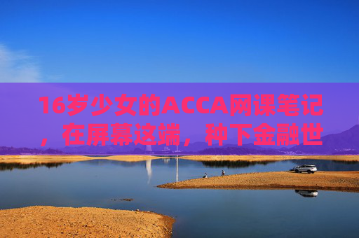 16岁少女的ACCA网课笔记，在屏幕这端，种下金融世界的种子，16岁少女的ACCA笔记，屏幕这端，种下金融世界的种子