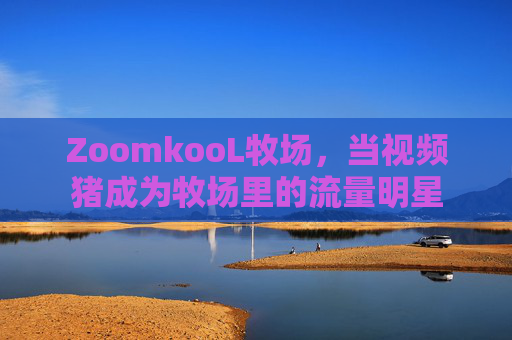 ZoomkooL牧场，当视频猪成为牧场里的流量明星