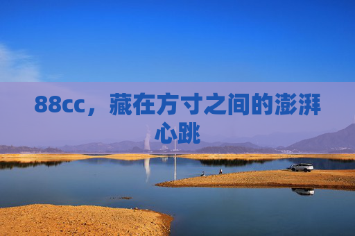 88cc，藏在方寸之间的澎湃心跳