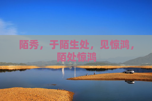 陌秀，于陌生处，见惊鸿，陌处惊鸿