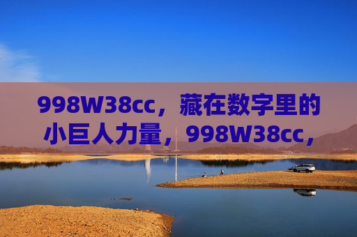 998W38cc，藏在数字里的小巨人力量，998W38cc，数字里的小巨人力量