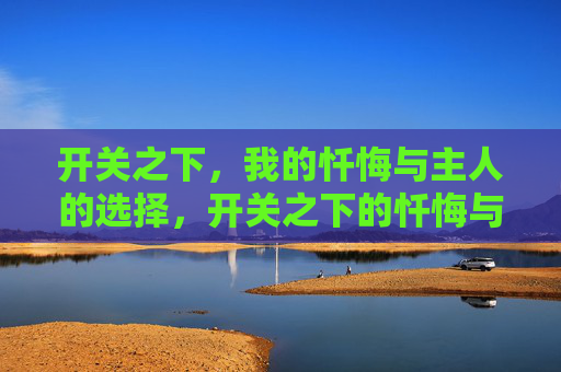 开关之下，我的忏悔与主人的选择，开关之下的忏悔与抉择