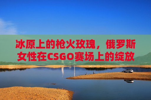 冰原上的枪火玫瑰，俄罗斯女性在CSGO赛场上的绽放与征途