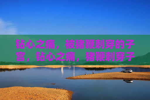 钻心之痛，被猪鞭刺穿的子宫，钻心之痛，猪鞭刺穿子宫