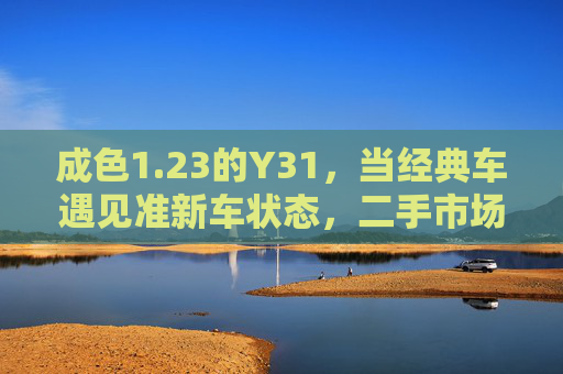 成色1.23的Y31，当经典车遇见准新车状态，二手市场的稀缺珍品