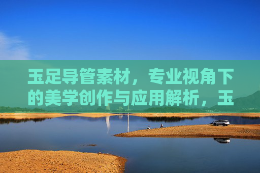 玉足导管素材，专业视角下的美学创作与应用解析，玉足导管素材，专业视角的美学创作与应用解析