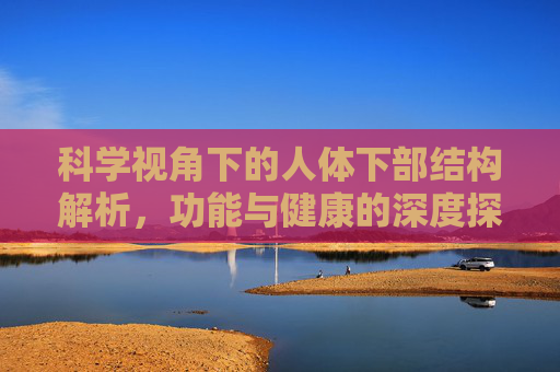 科学视角下的人体下部结构解析，功能与健康的深度探索，科学视角下人体下部结构、功能与健康深度探索