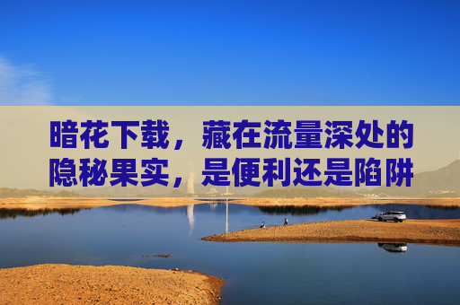 暗花下载，藏在流量深处的隐秘果实，是便利还是陷阱？流量深处的暗花下载，隐秘果实还是便利陷阱？