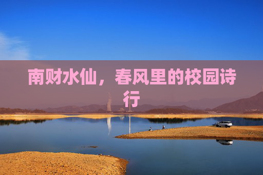 南财水仙,春风里的校园诗行 南财水仙,春风里的校园诗行