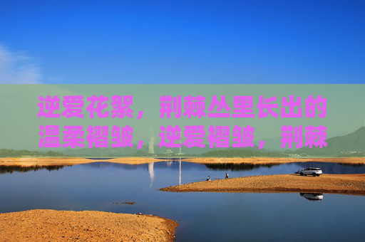 逆爱花絮，荆棘丛里长出的温柔褶皱，逆爱褶皱，荆棘丛里的温柔