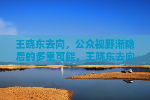 王晓东去向,公众视野渐隐后的多重可能,王晓东去向,公众视野渐隐后的多重可能 王晓东去向,公众视野渐隐后的多重可能,王晓东去向,公众视野渐隐后的多重可能