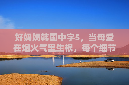 好妈妈韩国中字5，当母爱在烟火气里生根，每个细节都是温柔的注脚，好妈妈韩国中字5，烟火气里生根的母爱，细节皆是温柔注脚