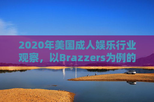 2020年美国成人娱乐行业观察，以Brazzers为例的转型与挑战，2020年美国成人娱乐行业观察，以Brazzers为例的转型与挑战