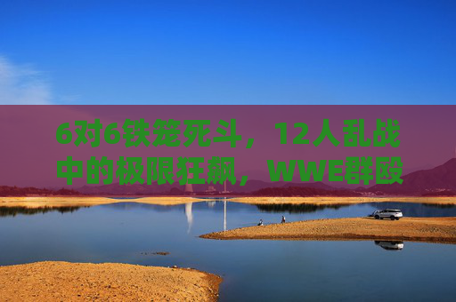 6对6铁笼死斗，12人乱战中的极限狂飙，WWE群殴大战的史诗时刻，6对6铁笼死斗，WWE 12人乱战史诗狂飙