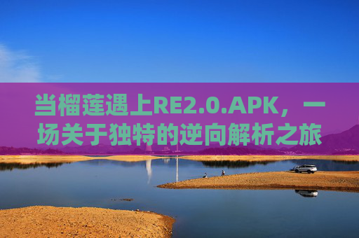 当榴莲遇上RE2.0.APK，一场关于独特的逆向解析之旅，榴莲遇上RE2.0.APK，独特的逆向解析之旅