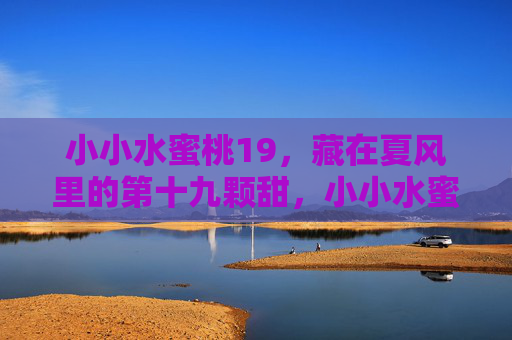 小小水蜜桃19，藏在夏风里的第十九颗甜，小小水蜜桃19，藏在夏风里的第十九颗甜