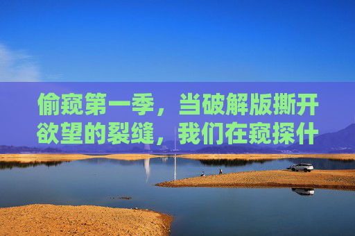 偷窥第一季，当破解版撕开欲望的裂缝，我们在窥探什么？偷窥第一季，破解欲望裂缝，我们在窥探什么？
