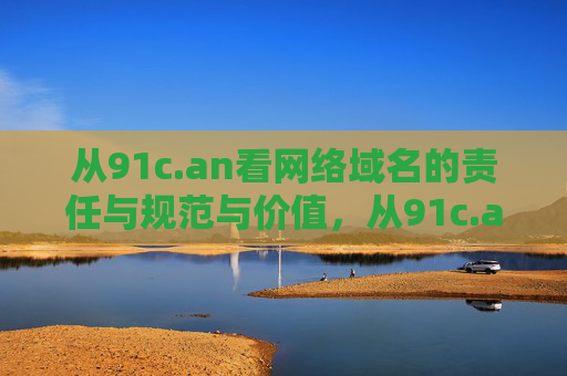 从91c.an看网络域名的责任与规范与价值，从91c.an看网络域名的责任、规范与价值