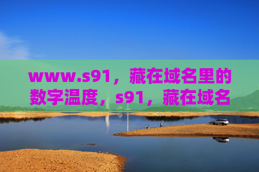 www.s91，藏在域名里的数字温度，s91，藏在域名里的数字温度