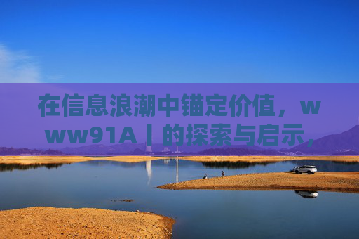 在信息浪潮中锚定价值，www91A丨的探索与启示，在信息浪潮中锚定价值，www91A丨探索与启示