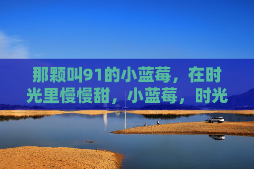 那颗叫91的小蓝莓,在时光里慢慢甜,小蓝莓,时光慢慢甜 那颗叫91的小蓝莓,在时光里慢慢甜,小蓝莓,时光慢慢甜