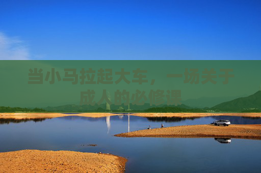 当小马拉起大车,一场关于成人的必修课 当小马拉起大车,一场关于成人的必修课