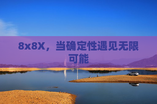 8x8X，当确定性遇见无限可能