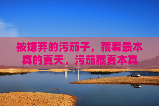 被嫌弃的污茄子，藏着最本真的夏天，污茄藏夏本真
